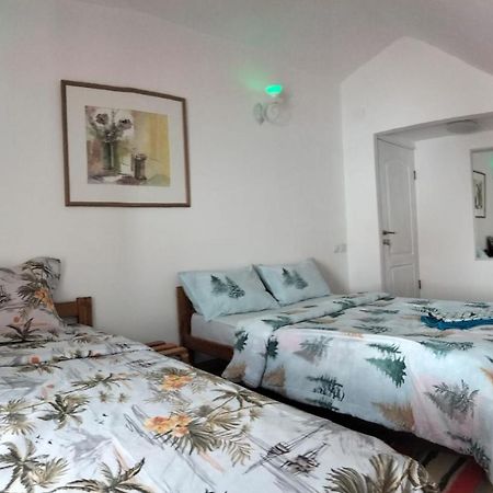 Doi Iepuri Appartement Azuga Buitenkant foto