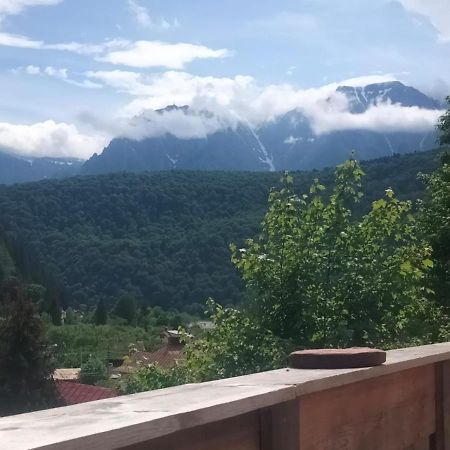 Doi Iepuri Appartement Azuga Buitenkant foto