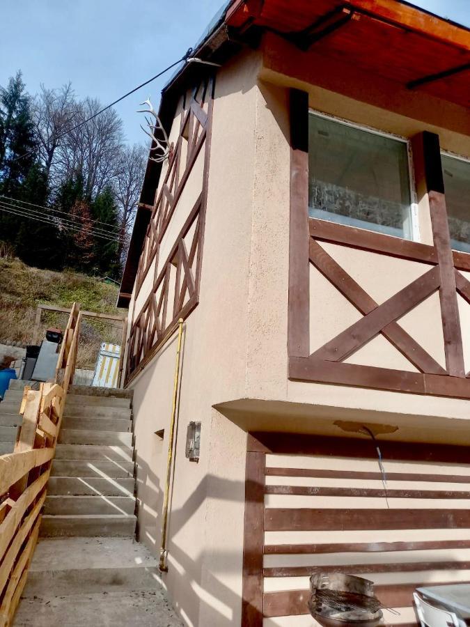 Doi Iepuri Appartement Azuga Buitenkant foto