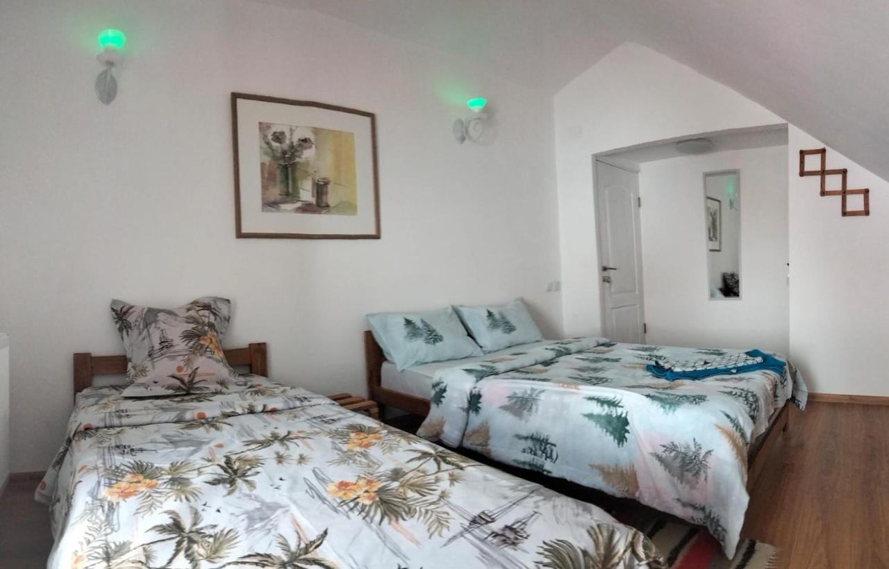 Doi Iepuri Appartement Azuga Buitenkant foto