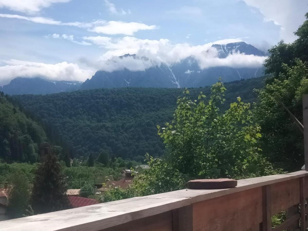 Doi Iepuri Appartement Azuga Buitenkant foto