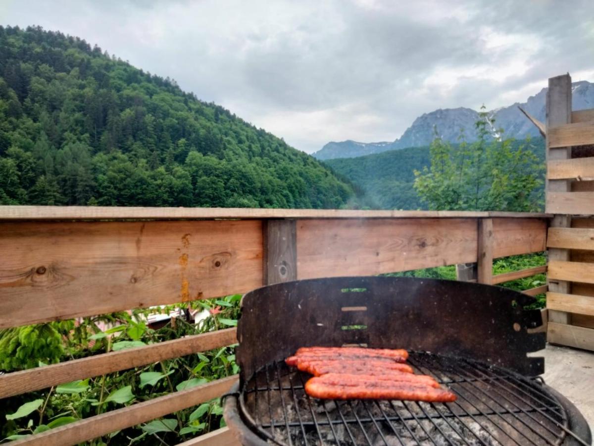 Doi Iepuri Appartement Azuga Buitenkant foto